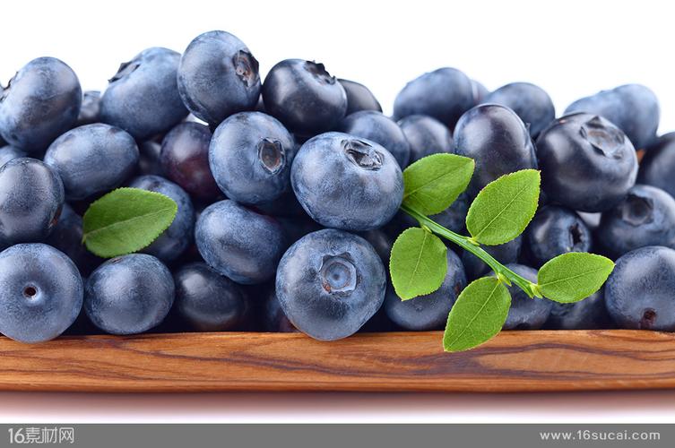 美味的蓝莓水果写真高清图片